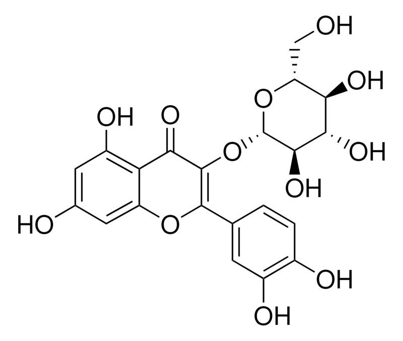 Quercetin 3-glucoside