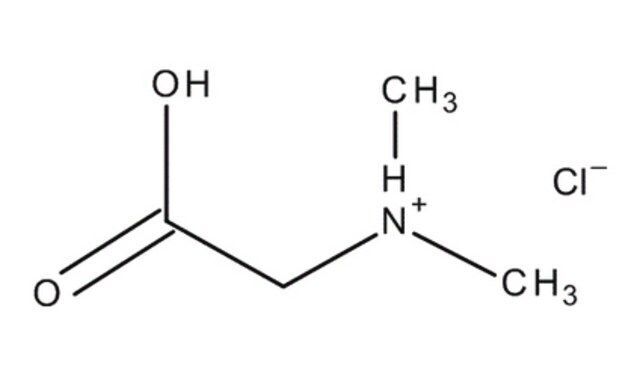 N,N-Dimethylglycine hydrochloride