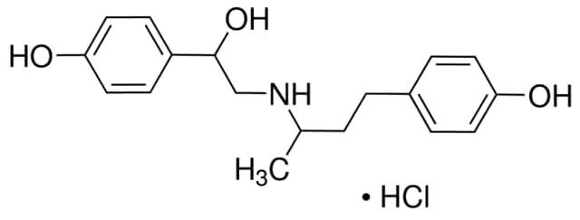 Ractopamine hydrochloride