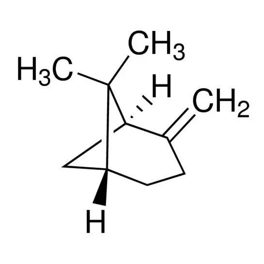 (+)-β-Pinene