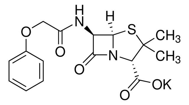 Penicillin V potassium