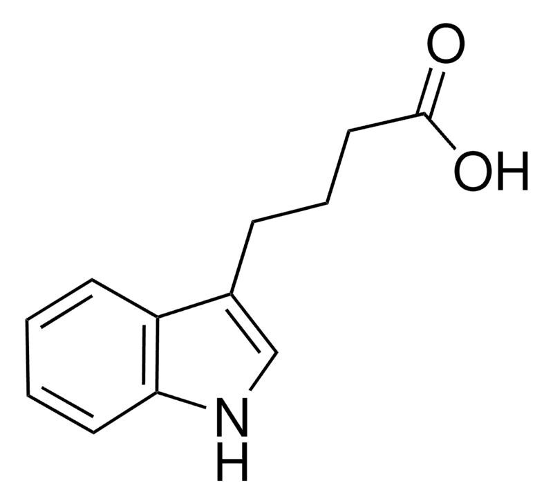 Indole-3-butyric acid