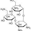 Kanamycin solution from Streptomyces kanamyceticus