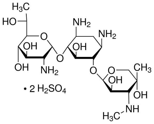 G 418 disulfate salt