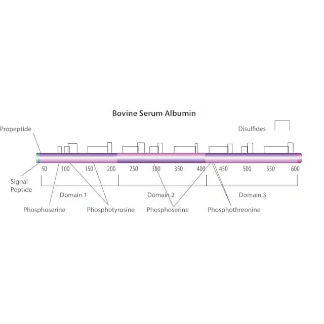Albumin from mouse serum
