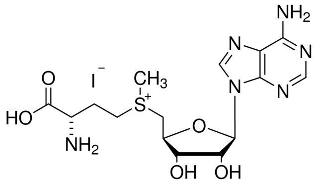 S-(5′-Adenosyl)-L-methionine iodide