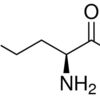 L-Norvaline