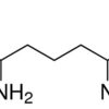 2,6-Diaminopimelic acid