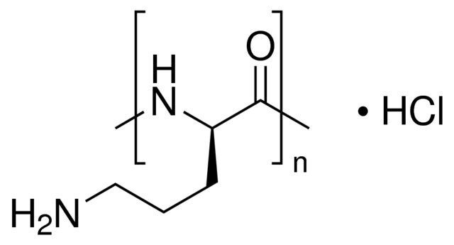 Poly-L-ornithine hydrochloride