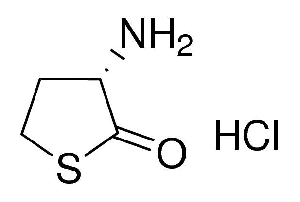 L-Homocysteine thiolactone hydrochloride