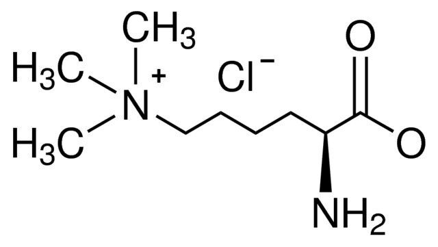 Nε,Nε,Nε-Trimethyllysine hydrochloride