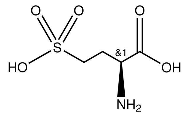 L-Homocysteic acid