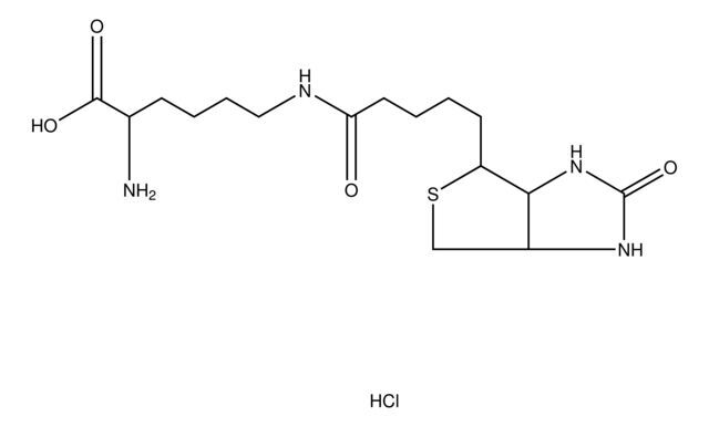 Biocytin hydrochloride