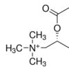 Butyryl-L-carnitine