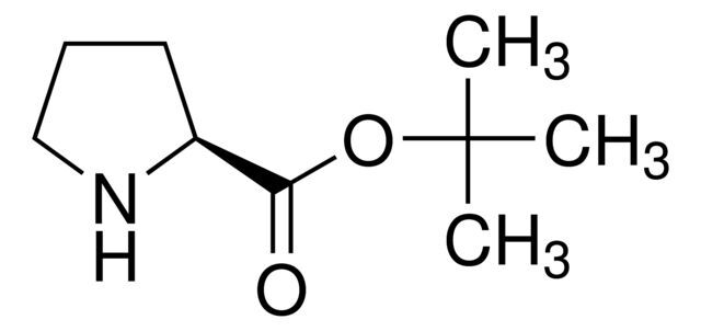 L-Proline t-butyl ester