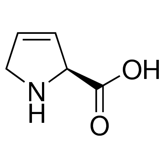 3,4-Dehydro-L-proline