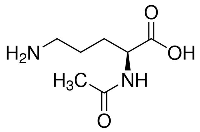 Nα-Acetyl-L-ornithine