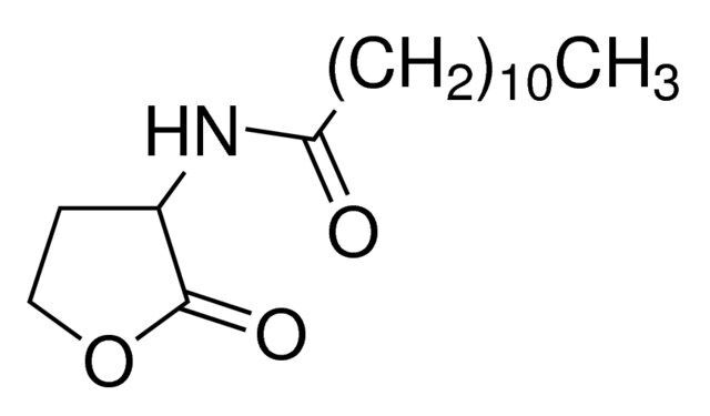 N-Dodecanoyl-DL-homoserine lactone