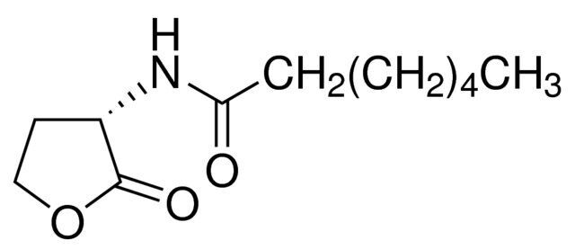 N-Heptanoyl-L-homoserine lactone