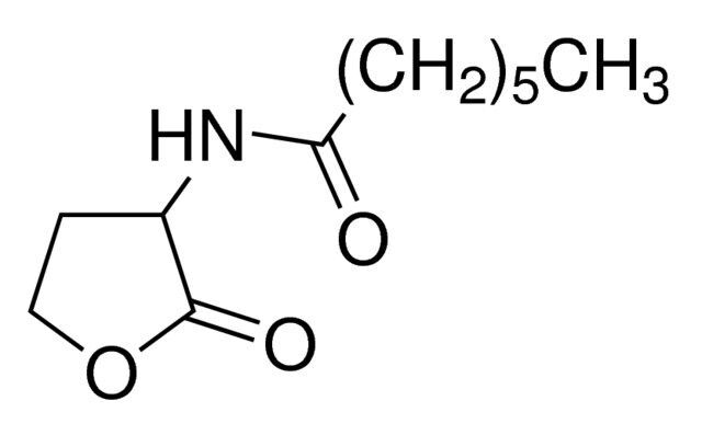 N-Heptanoyl-DL-homoserine lactone