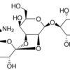 Hygromycin B solution from Streptomyces hygroscopicus