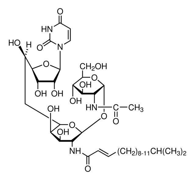 Tunicamycin from Streptomyces sp.