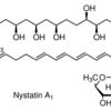 Nystatin Ready made solution