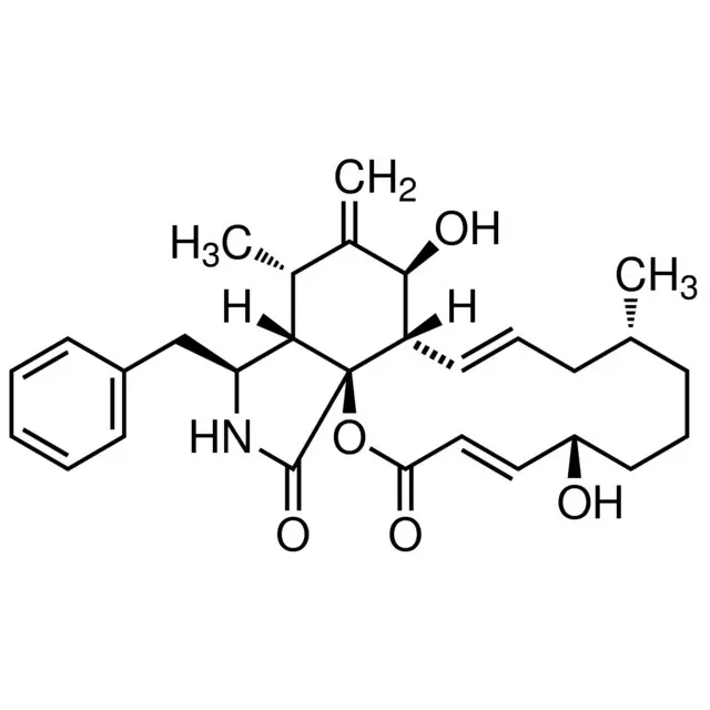 Cytochalasin B from Drechslera dematioidea