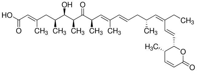 Leptomycin B solution from Streptomyces sp.