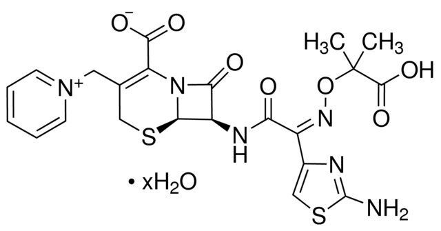 Ceftazidime hydrate