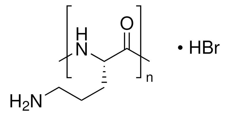 Poly-L-ornithine hydrobromide