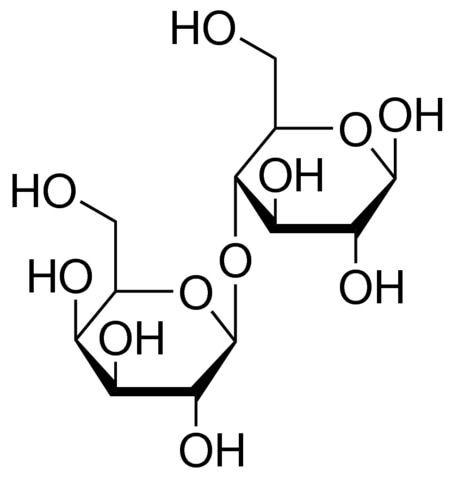 β-Lactose