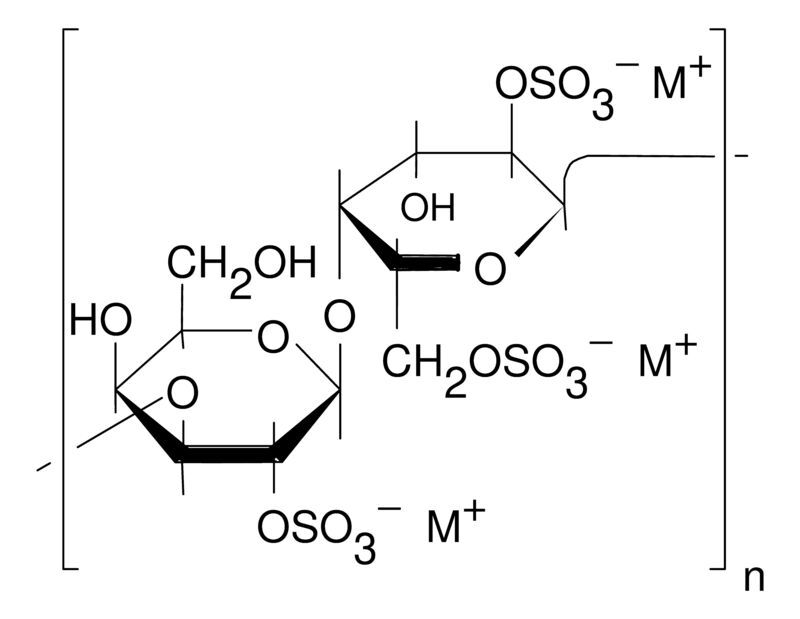 λ-Carrageenan