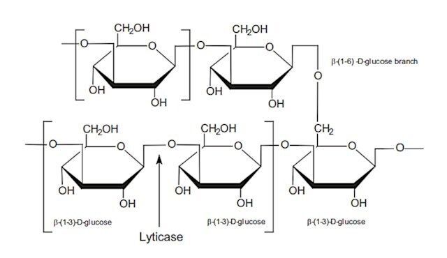 Beta Glucan
