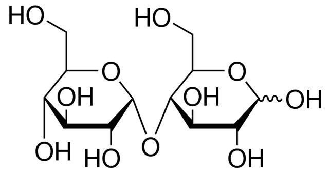 Maltose solution