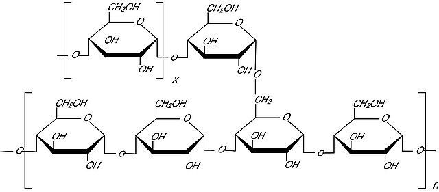 Amylopectin from maize