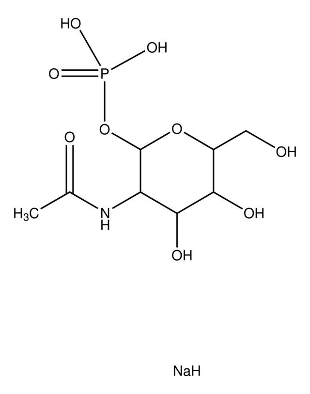 N-Acetyl-α-D-glucosamine 1-phosphate disodium salt