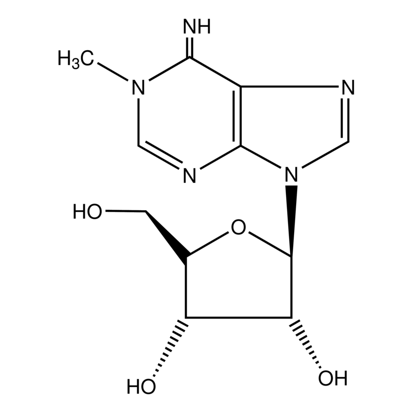 1-Methyladenosine