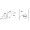 Dexamethasone