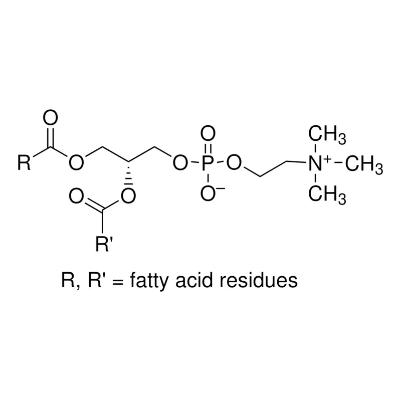 L-α-Phosphatidylcholine