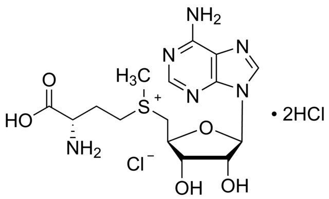 S-(5′-Adenosyl)-L-methionine chloride dihydrochloride