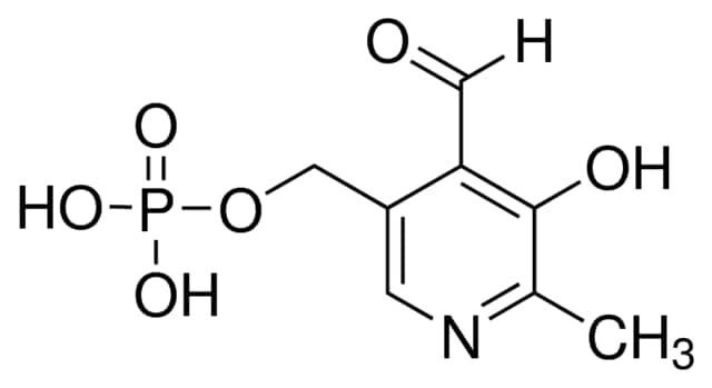 Pyridoxal 5′-phosphate hydrate