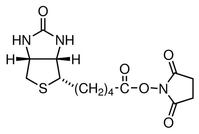 Biotin-OSu