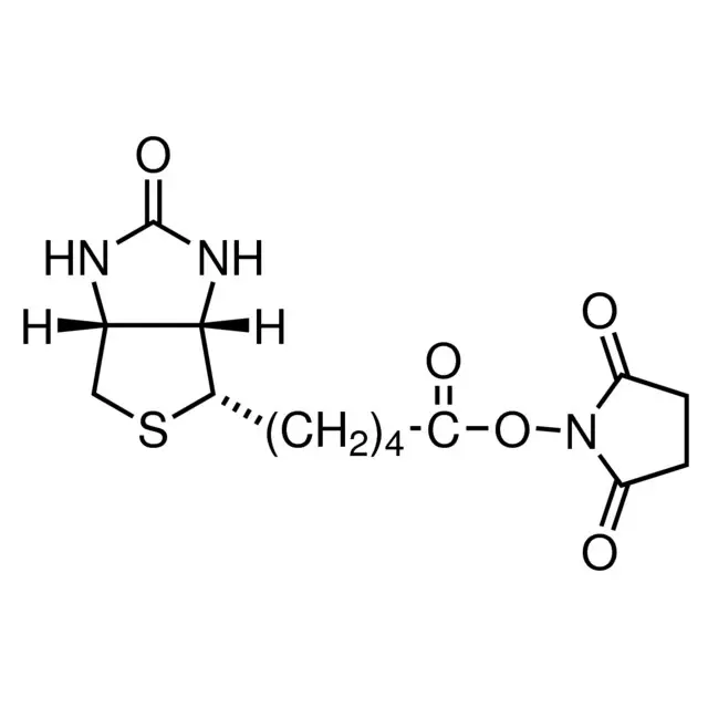 (+)-Biotin N-hydroxysuccinimide ester