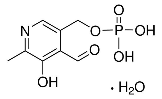 Pyridoxal 5′-phosphate monohydrate