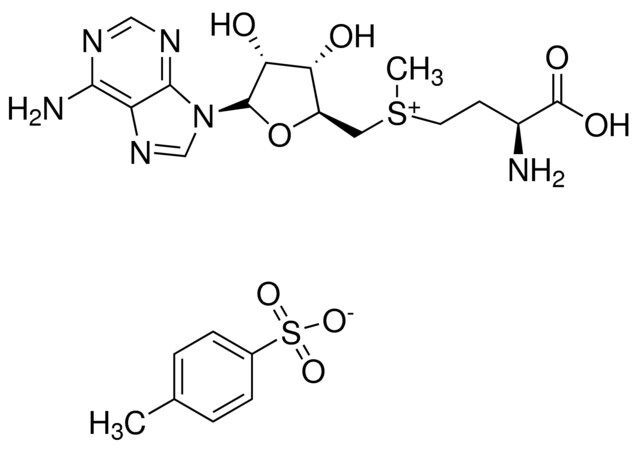 S-(5′-Adenosyl)-L-methionine p-toluenesulfonate salt