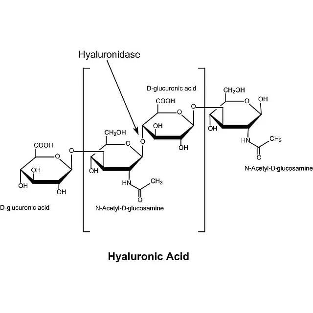 Hyaluronidase from bovine testes