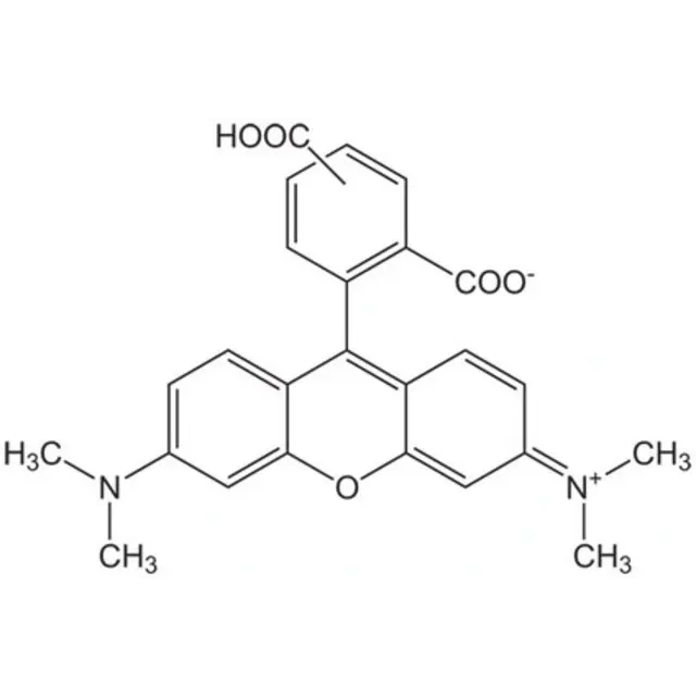 5(6)-Carboxytetramethylrhodamine