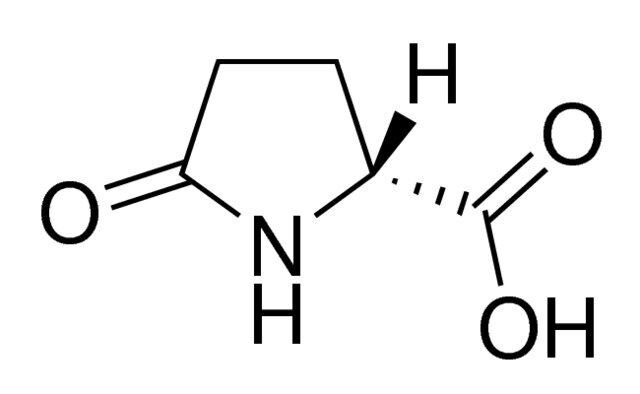 (R)-(+)-2-Pyrrolidone-5-carboxylic acid