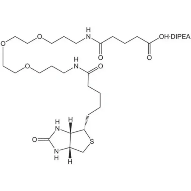 N-Biotinyl-NH-(PEG)2-COOH . DIPEA (20 atoms)